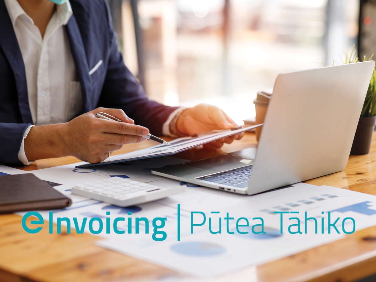 eInvoicing Update MBIE Government